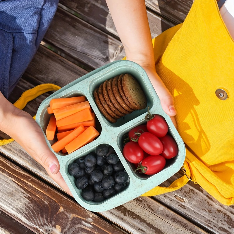 علبة طعام بنتو فاخرة مصنوعة من - مراجعة Meal Prep Lunch Boxes وسعره